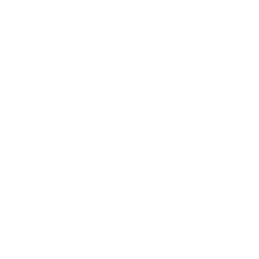 feature-item-2